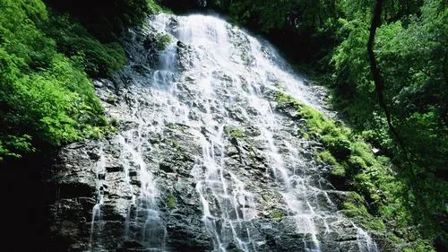 节能高质量自动化